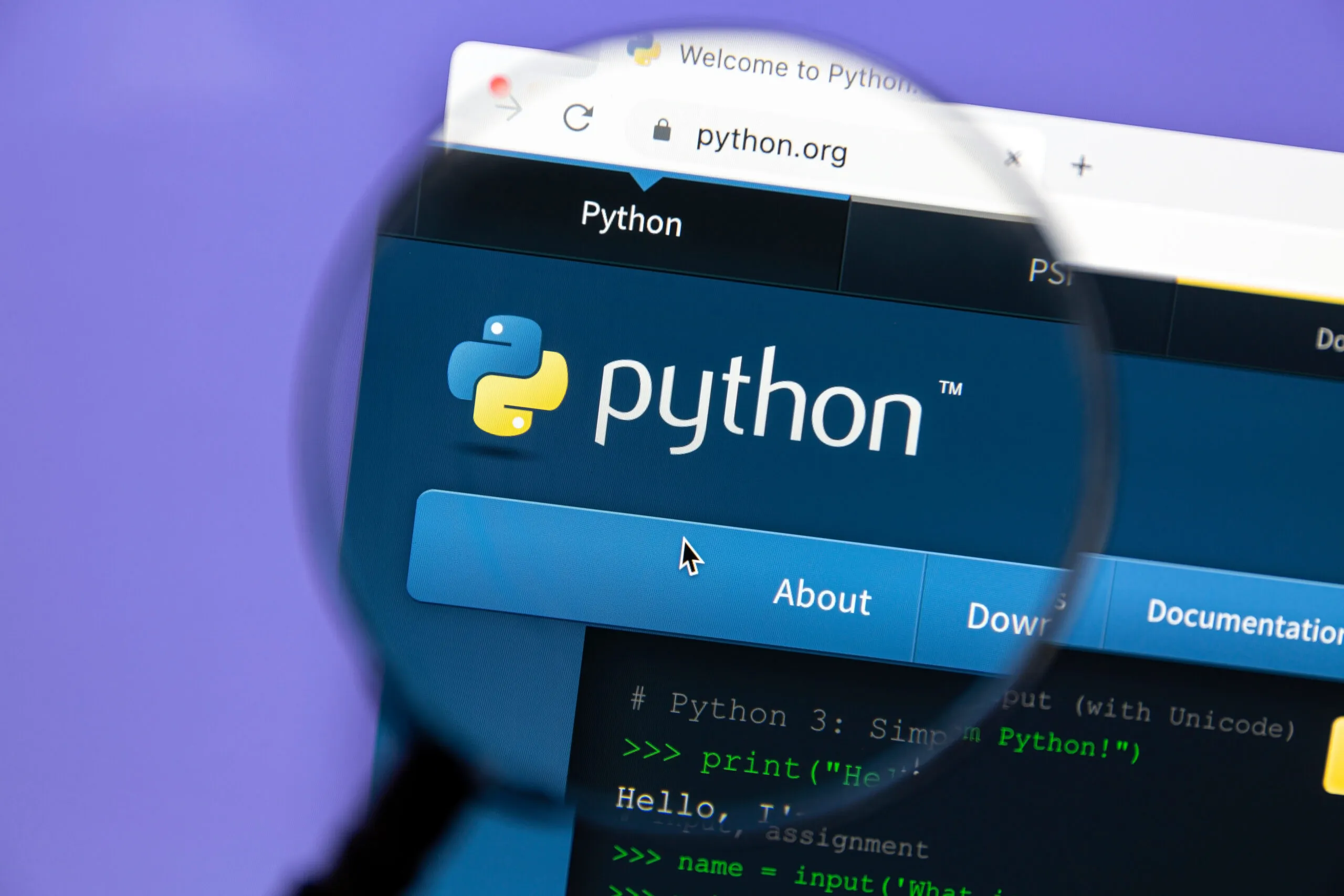 Immagine per il corso Python
